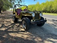 Jeep Willys - <small></small> 24.000 € <small>TTC</small> - #2