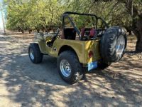 Jeep Willys - <small></small> 24.000 € <small>TTC</small> - #6