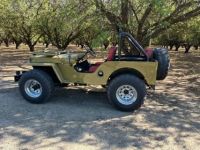 Jeep Willys - <small></small> 24.000 € <small>TTC</small> - #7