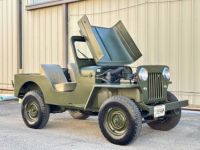 Jeep Willys - <small></small> 21.000 € <small>TTC</small> - #7