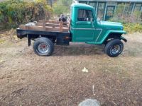 Jeep Willys Pickup  - <small></small> 15.100 € <small>TTC</small> - #1