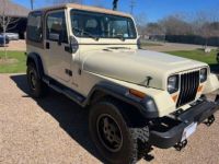 Jeep Wrangler - <small></small> 22.000 € <small>TTC</small> - #14