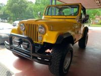 Jeep Wrangler - <small></small> 29.000 € <small>TTC</small> - #3