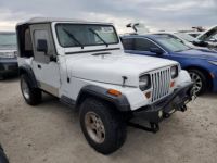 Jeep Wrangler - <small></small> 16.000 € <small>TTC</small> - #2