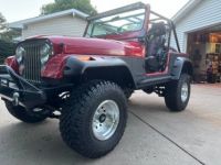 Jeep Wrangler - <small></small> 31.000 € <small>TTC</small> - #9