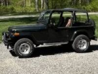 Jeep Wrangler - <small></small> 18.200 € <small>TTC</small> - #1