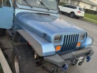 Jeep Wrangler 4.2L 6 CYLINDRES BLEU 1988 - <small></small> 20.900 € <small>TTC</small> - #11