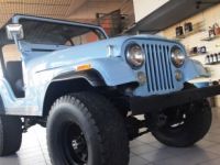 Jeep Wrangler CJ5 V8 304 CI 1979 BLEUE - <small></small> 28.000 € <small>TTC</small> - #9