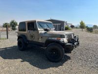 Jeep Wrangler yj  - <small></small> 18.000 € <small>TTC</small> - #1