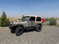 Jeep Wrangler yj  - <small></small> 18.000 € <small>TTC</small> - #3