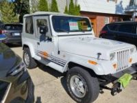 Jeep Wrangler yj  - <small></small> 16.000 € <small>TTC</small> - #1