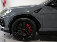 Lamborghini Urus - <small></small> 269.900 € <small>TTC</small> - #13