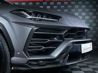Lamborghini Urus 4.0 V8 Bi-Turbo 650ch BVA8 - <small></small> 309.900 € <small>TTC</small> - #11