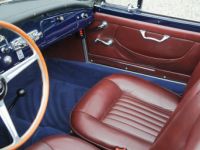 Lancia Aurelia B24S Convertible by Pinin Farina - <small></small> 385.000 € <small>TTC</small> - #23