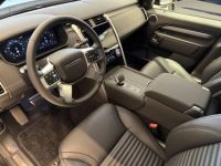 Land Rover Discovery D250 Dynamic SE - <small></small> 94.576 € <small>TTC</small> - #7