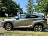 Lexus NX 300h 2WD Luxe - <small></small> 30.990 € <small>TTC</small> - #2