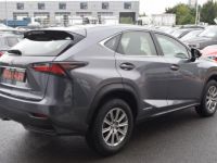 Lexus NX 300H 2WD PACK BUSINESS - <small></small> 23.870 € <small>TTC</small> - #2