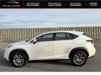 Lexus NX 300h 4WD Pack Business - <small></small> 18.990 € <small>TTC</small> - #2