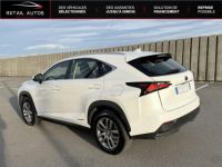 Lexus NX 300h 4WD Pack Business - <small></small> 18.990 € <small>TTC</small> - #3