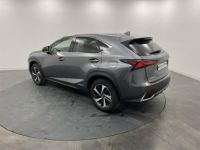 Lexus NX MY20 MM19 300h 4WD Executive - <small></small> 35.900 € <small>TTC</small> - #3