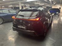 Lexus UX executive 250 CV - <small></small> 26.990 € <small>TTC</small> - #33