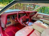 Lincoln Mark IV - <small></small> 43.000 € <small>TTC</small> - #17