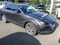 Mazda CX-30 2.0 E-SKYACTIV G 150 MHEV EXCLU-L AMB-P 5 portes (janv. 2024) (co2 134.0) - <small></small> 35.900 € <small>TTC</small> - #8