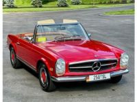 Mercedes 250 250SL Pagoda  - <small></small> 61.000 € <small>TTC</small> - #1