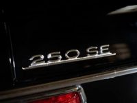 Mercedes 250 SE - <small></small> 79.000 € <small>TTC</small> - #12