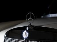 Mercedes 250 SE - <small></small> 40.000 € <small>TTC</small> - #11