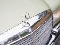 Mercedes 280 - Prix sur Demande - #6