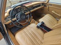 Mercedes 280 280SL PAGODE - <small></small> 99.000 € <small>TTC</small> - #8