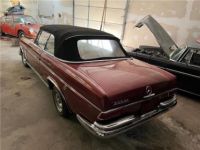 Mercedes 300 300SE Cabriolet RHD  - <small></small> 95.000 € <small>TTC</small> - #11