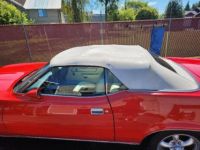 Mercury Cougar - <small></small> 24.000 € <small>TTC</small> - #7