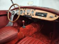 MG MGA A 1600 cabriolet - <small></small> 38.500 € <small>TTC</small> - #66