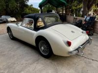 MG MGA A roadster  - <small></small> 27.000 € <small>TTC</small> - #6