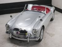 MG MGA SYLC EXPORT - <small></small> 39.500 € <small>TTC</small> - #3