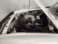 MG MGB GT B Mk1 - <small></small> 24.000 € <small>TTC</small> - #41