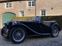 MG TC 1947 - <small></small> 38.500 € <small>TTC</small> - #13