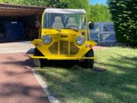 Mini One Mini Moke EM Motive 10 kW Flower Power Garantie Pro 1 AN - <small></small> 14.990 € <small>TTC</small> - #9