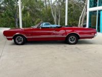 Oldsmobile 442 - <small></small> 57.000 € <small>TTC</small> - #12