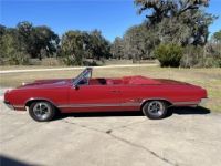 Oldsmobile 442 - <small></small> 69.400 € <small>TTC</small> - #12