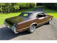 Oldsmobile 442 W-30 Clone  - <small></small> 60.000 € <small>TTC</small> - #21