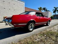 Oldsmobile Cutlass - <small></small> 34.000 € <small>TTC</small> - #5