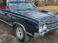 Oldsmobile Cutlass convertible  - <small></small> 32.000 € <small>TTC</small> - #16