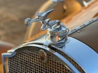 Packard Phaeton 533 - <small></small> 82.000 € <small>TTC</small> - #14