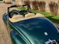 Peugeot 203 cabriolet 1956 - <small></small> 86.900 € <small>TTC</small> - #41