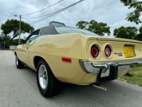 Plymouth Barracuda - <small></small> 54.000 € <small>TTC</small> - #25