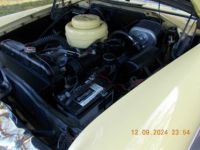 Plymouth Belvedere - <small></small> 29.000 € <small>TTC</small> - #11