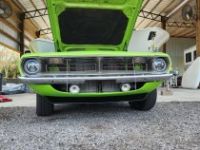 Plymouth Cuda - <small></small> 62.300 € <small>TTC</small> - #13